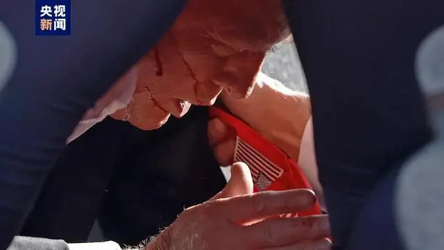 下载 (2) 下载 (2).png